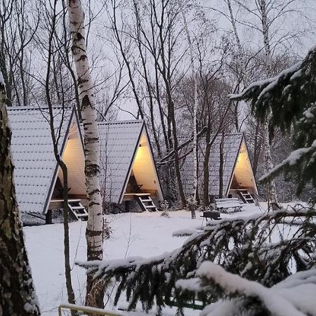Vigio Brasta Camping Электренай Экстерьер фото
