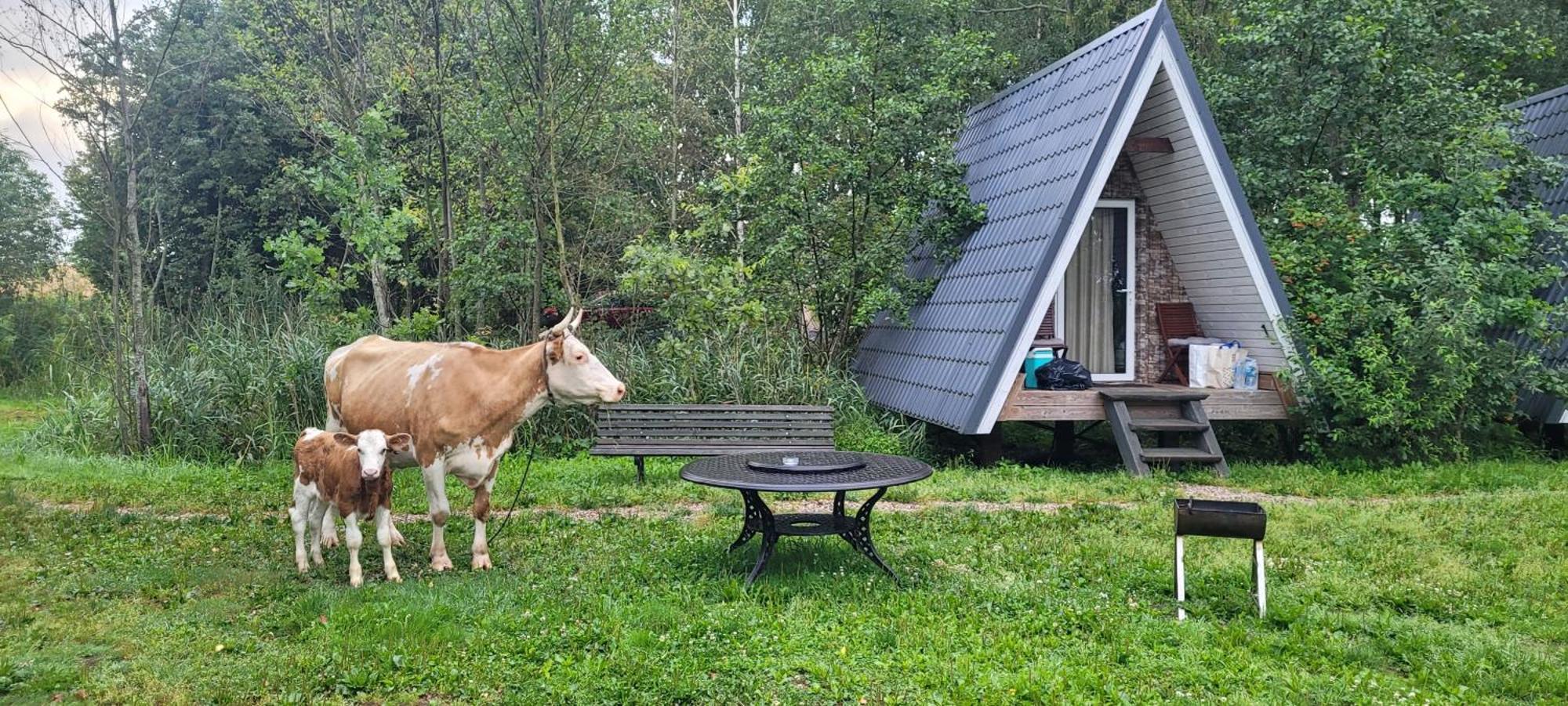 Vigio Brasta Camping Электренай Экстерьер фото